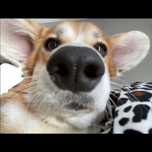 Meet your Posher, Mayce